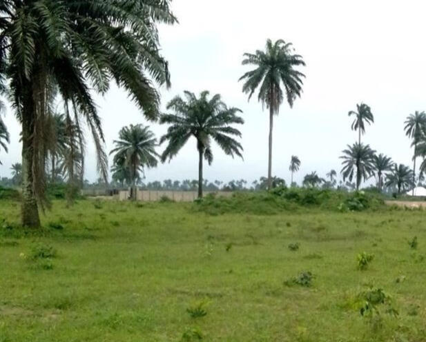 QUEENS COURT OTTA N15,000 DOWN PAYMENT